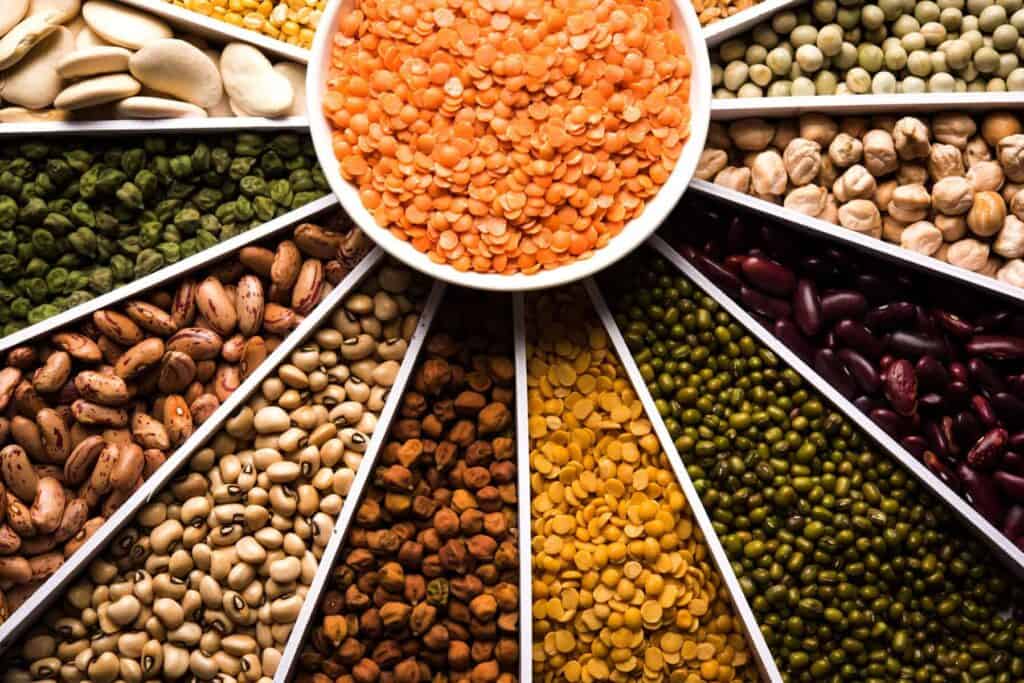 Hülsenfrüchte leguminosen bohnen erbsen soja