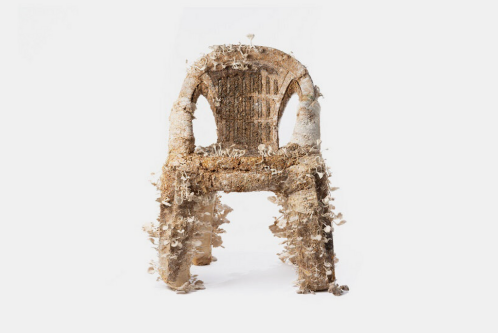 This Design Studio Shapes Mycelium and Coffee Grounds into ...