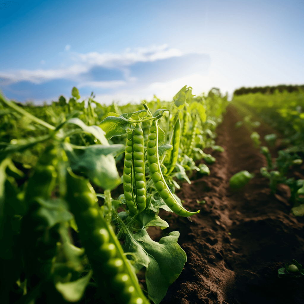 Lantmännen Research Foundation Opens SEK 25 Million Call for Grain, Legume and Bio-Based Material Research