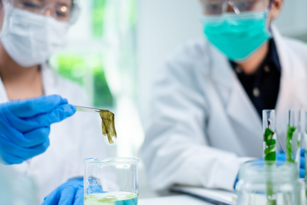 National Algae Association Expands Algae Production Incubator Program ...
