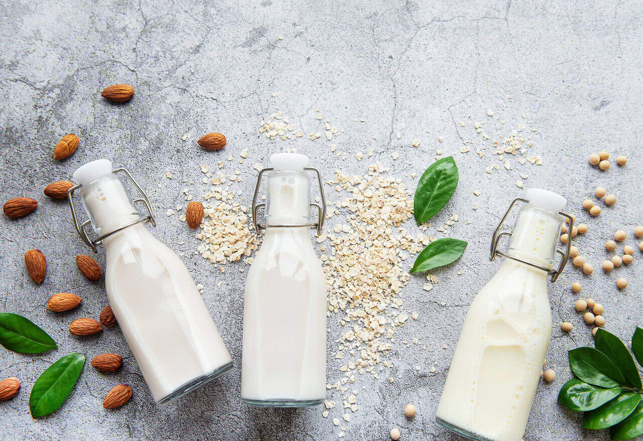 Symrise plant-based taste solutions