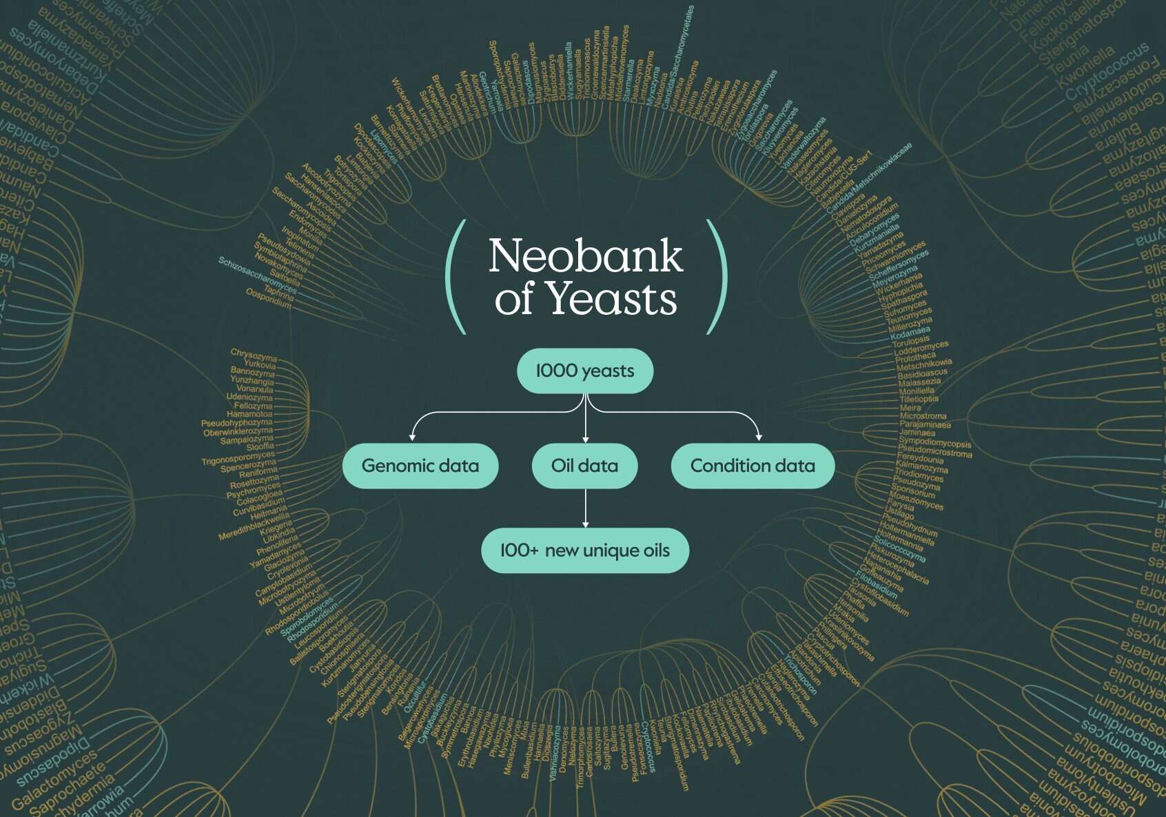 SMEY Neobank of Yeasts