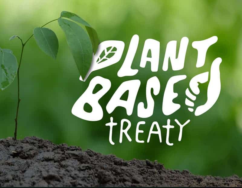 Plant Based Treaty