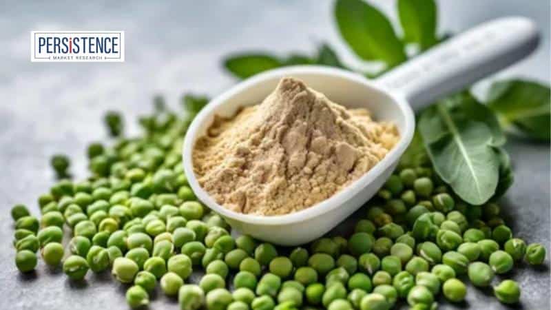 pea protein