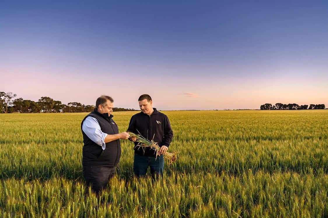 Viterra