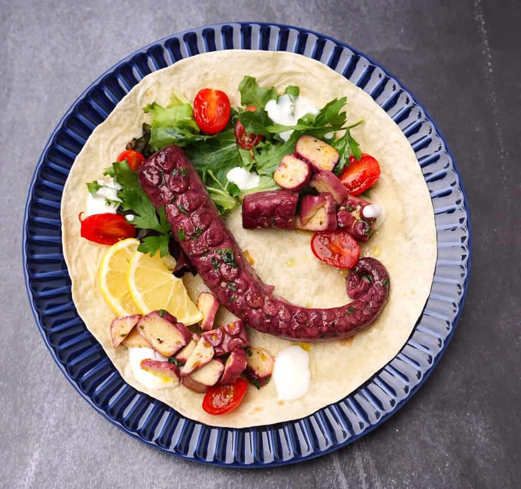 Revo Foods THE KRAKEN