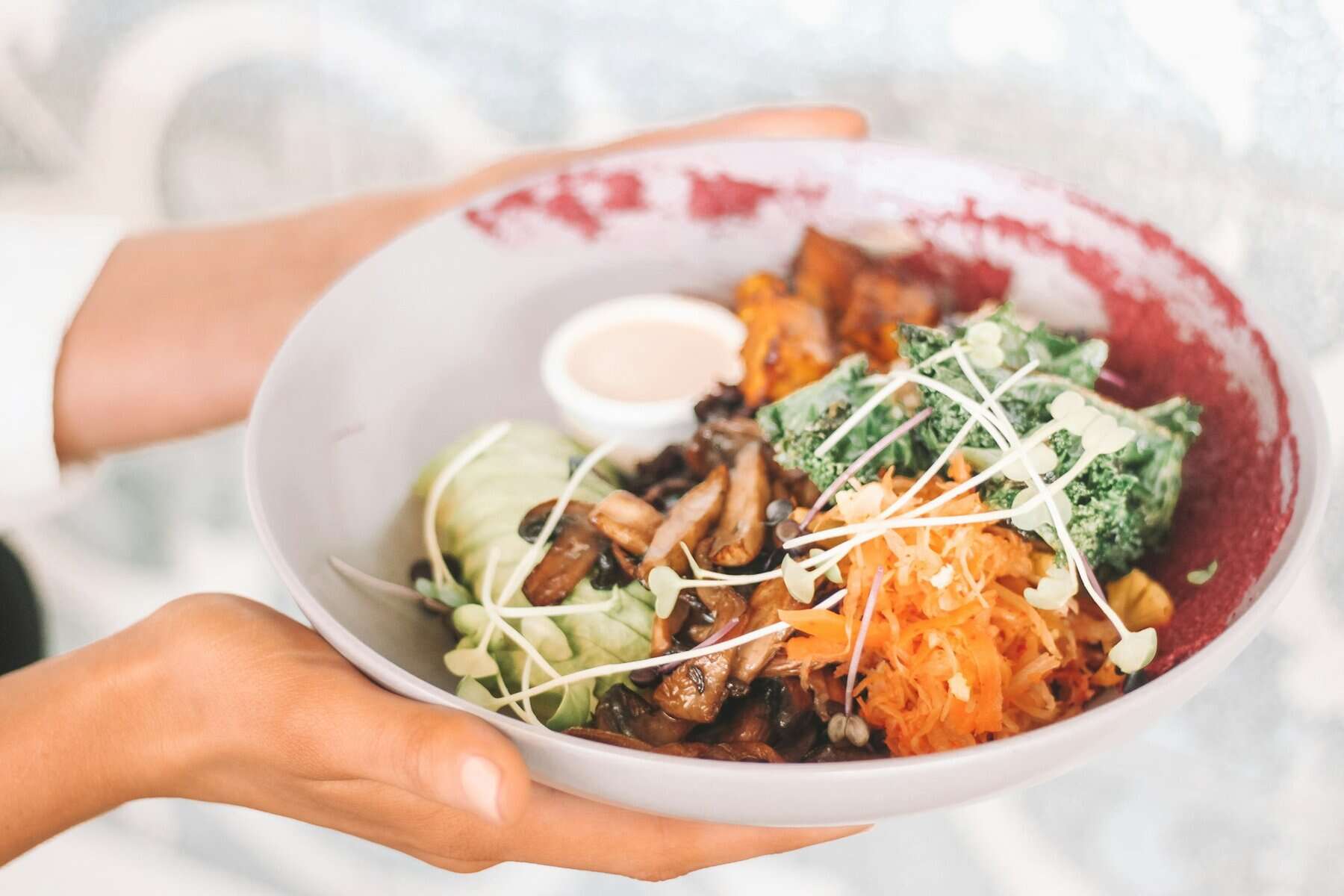 Vegan food in bowl stock
