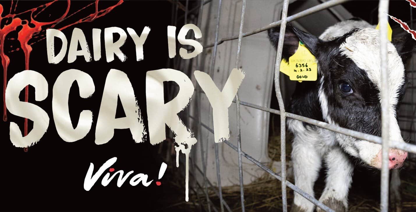 Dairy is Scary Viva!