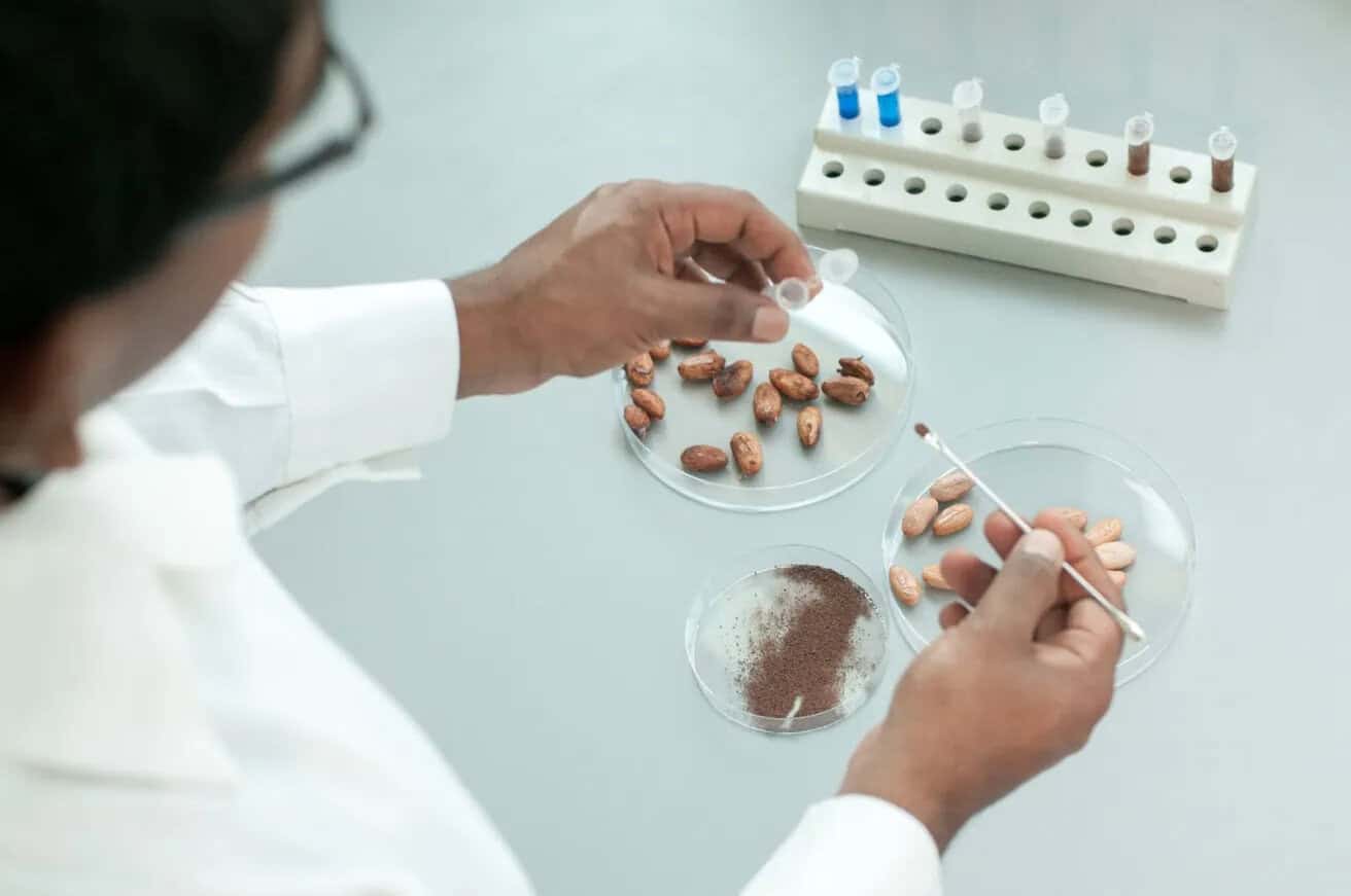 Barry Callebaut Partners with the Zurich University of Applied Sciences to Explore Cocoa Cell Culture Technology
