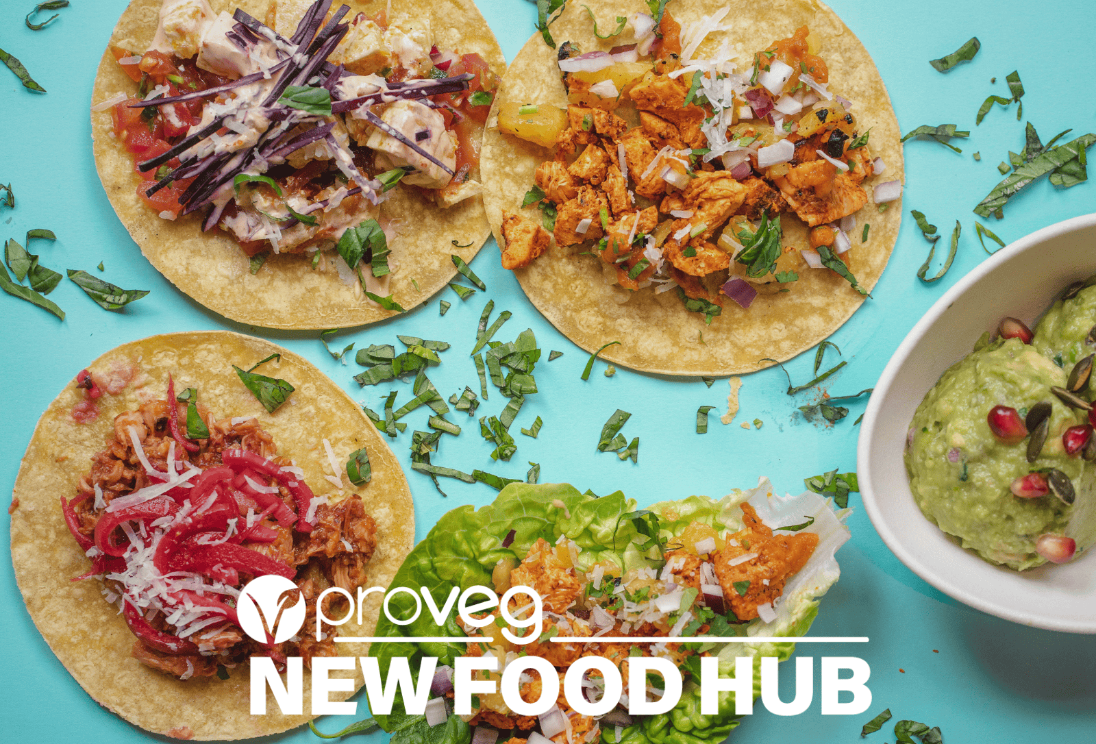 proveg new food hub