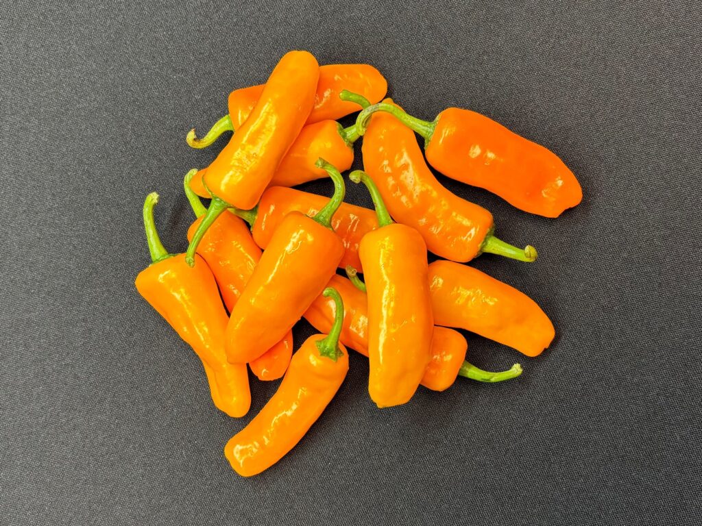 Sensient Agricultural Ingredients