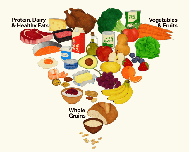 new-us-dietary-guidelines-flip-the-food-pyramid-in-favor-of-meat-and