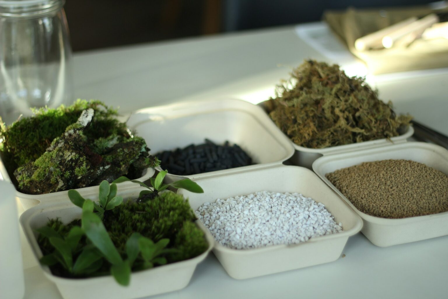 Bipartisan Bill Would Use Tax Credits to Build US Plant-Based Materials ...