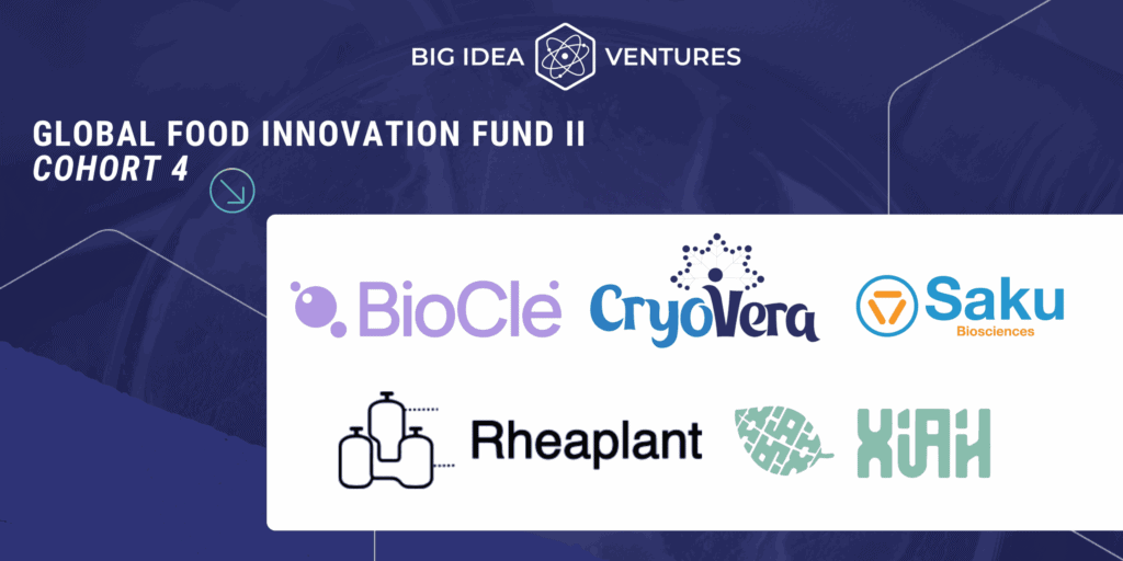 Big Idea Ventures Backs Five Startups Targeting Cost and Scalability in ...