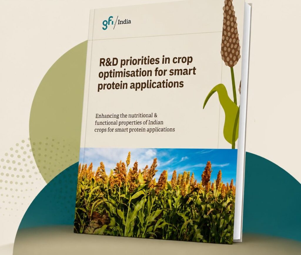 India’s Orphan Crops Could Unlock a New Plant Protein Supply Chain, GFI India Argues