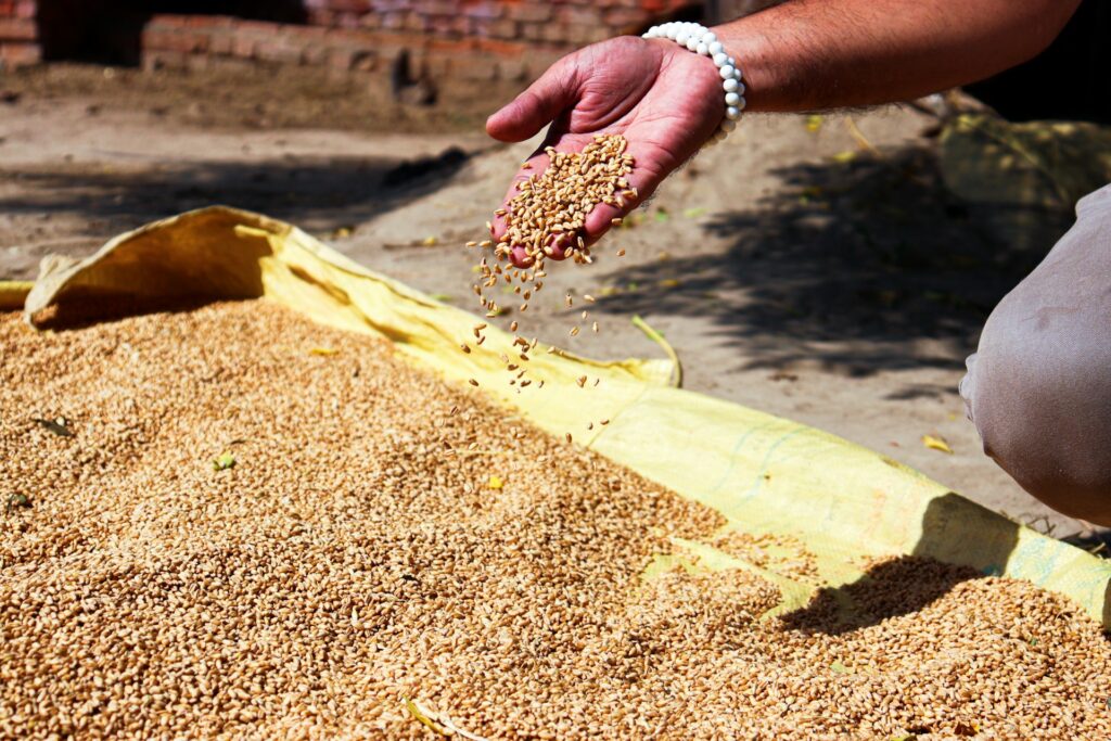 EU Protein Plan Locks In Feed Target, Leaves Food Protein Measures Voluntary