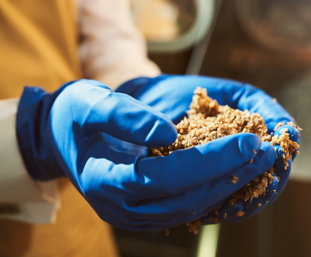 Canadian Startup to Upcycle Spent Brewery Grain into Food Ingredients with $1.1M in Backing