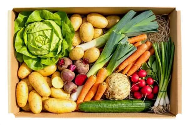 German Organic Farm Launches Biocyclic Vegan Marketing Platform at BIOFACH 2026