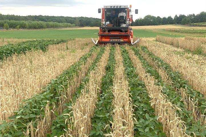 Established Networks Are Limiting What Agri-Startups Can Actually Change, Study Finds