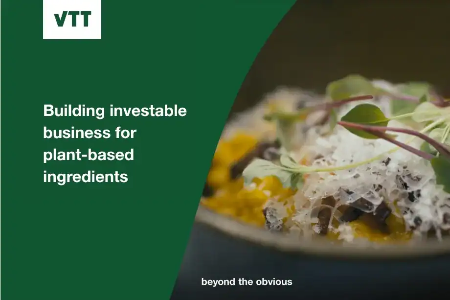 VTT White Paper: Plant-Based Ingredient Businesses Must Move Beyond Protein-Only Models to Attract Capital