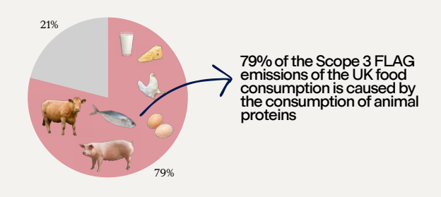 Plant Protein Shift Offers UK Retailers Cheapest Route to 2030 Climate Targets, Eunomia Report Finds