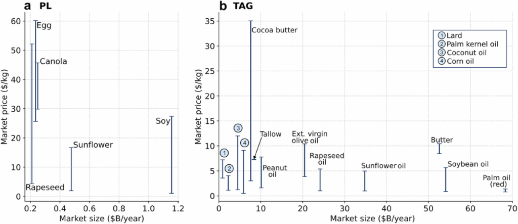 GFI-Funded Study Estimates Waste-Derived Microbial Fats Could Match Cocoa Butter on Price