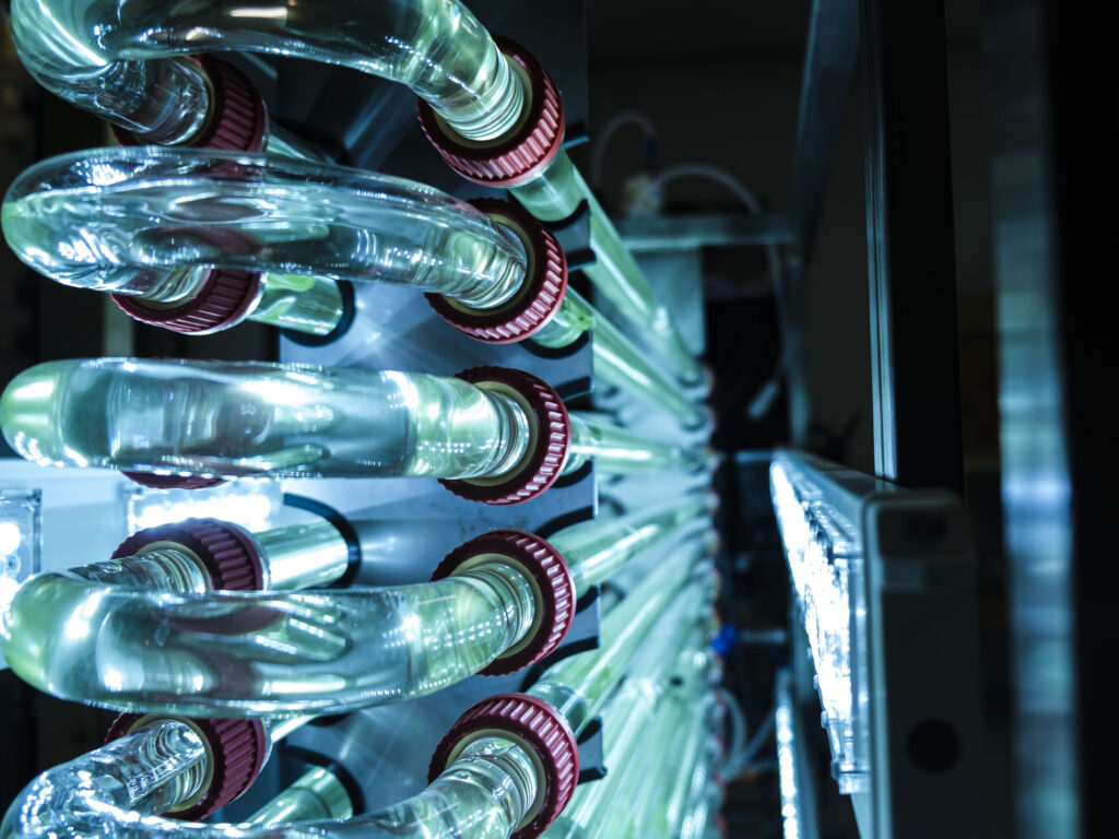 Danish Microalgae Firm Algiecel Appoints CFO and Board Chair Ahead of Commercial Scale-Up