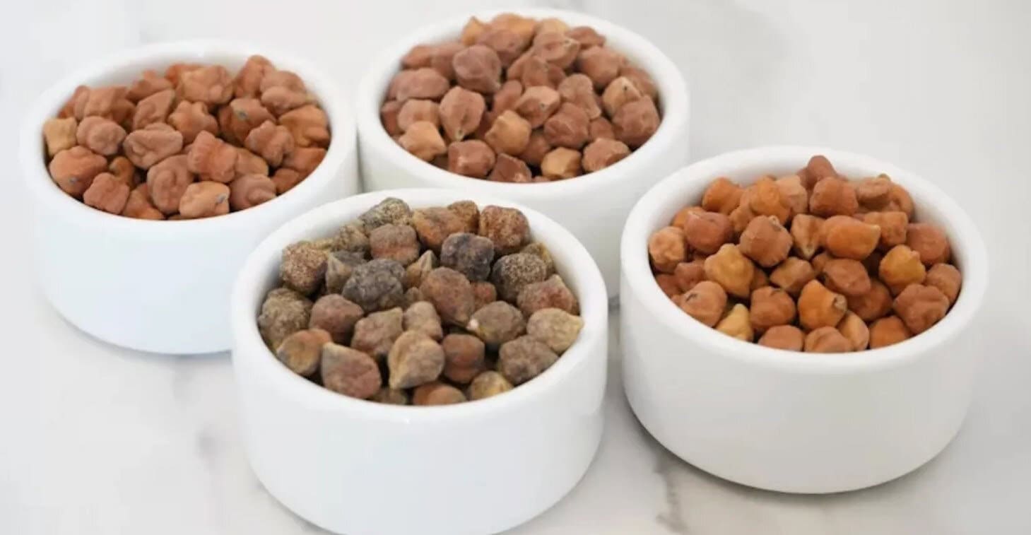 NuCicer Debuts Nuchi, a Reworked Chickpea Built for High-Protein ...