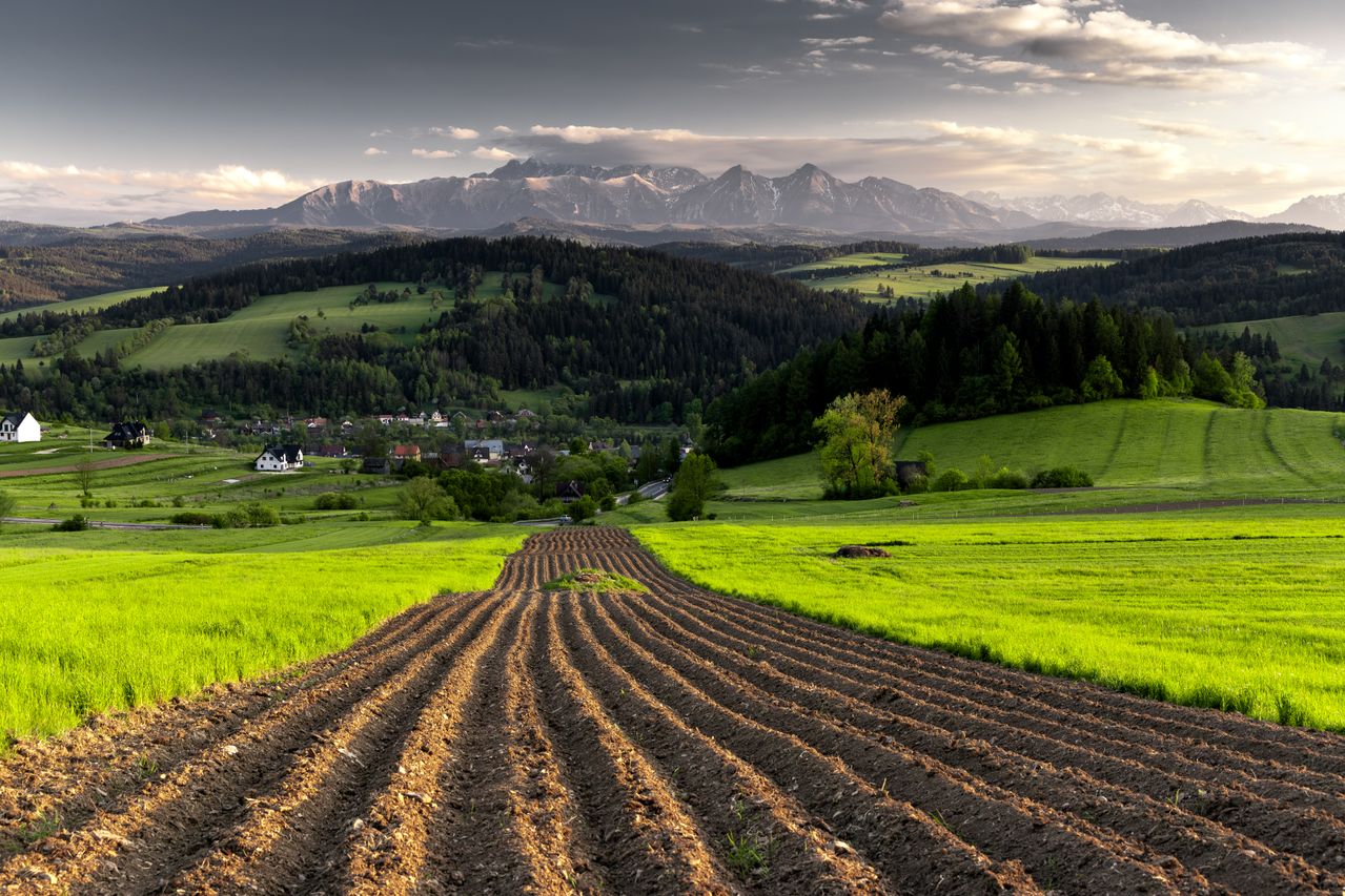 MEPs With Agri-Food Financial Stakes Vote Against Environmental Rules, Study Finds - vegconomist - the vegan business magazine