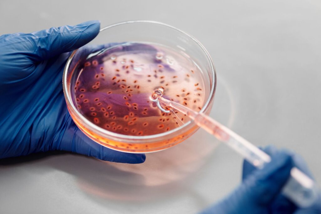 stock lab petri dish