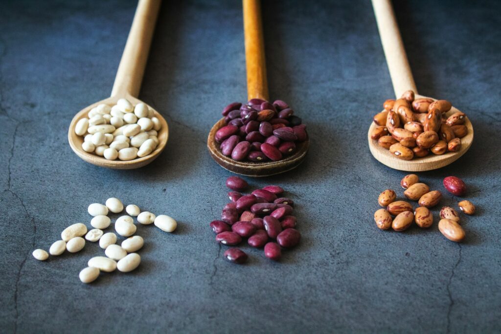 stock legumes