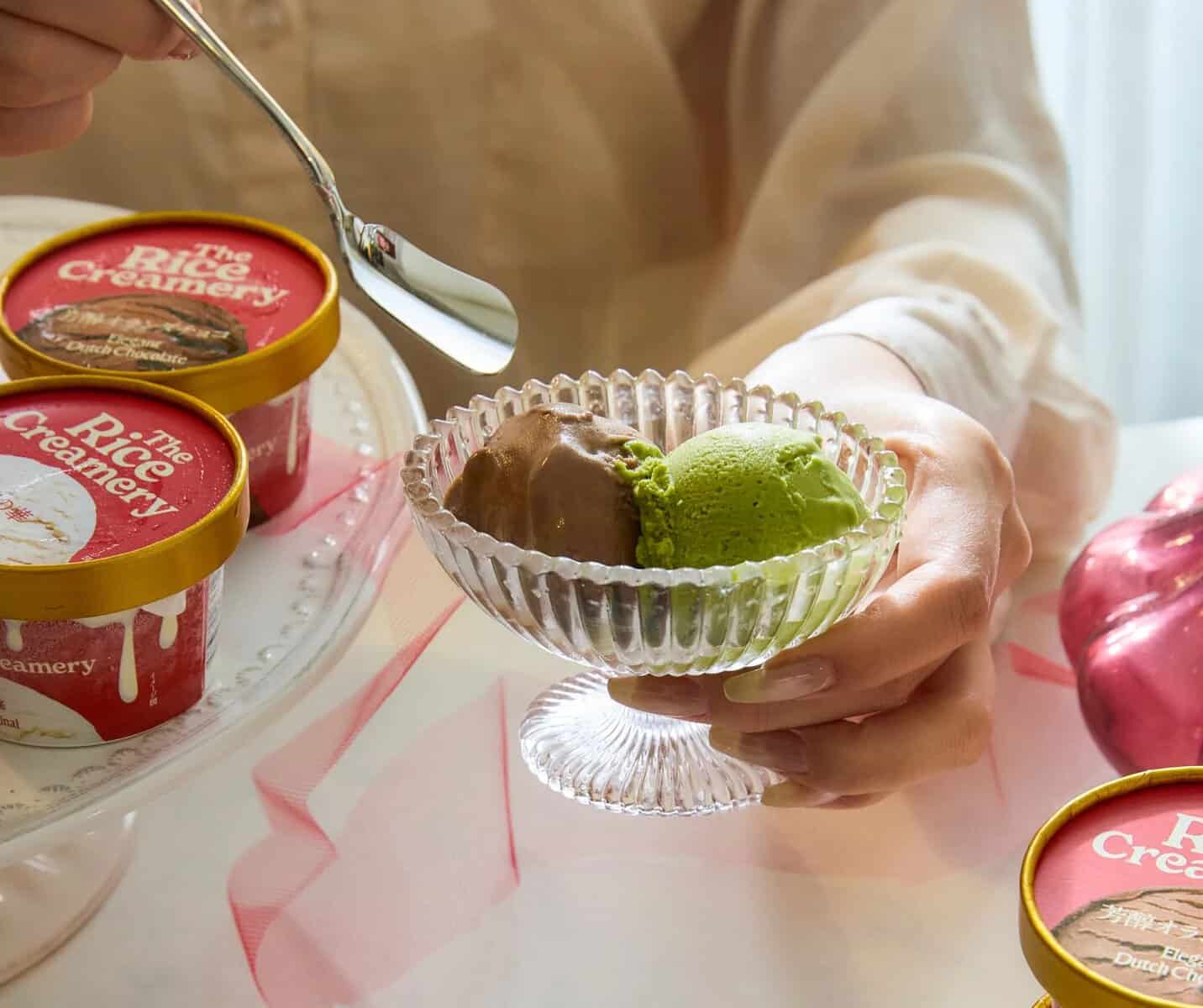 Kinish Raises ¥490M to Scale Casein-Producing Rice and US Ice Cream ...