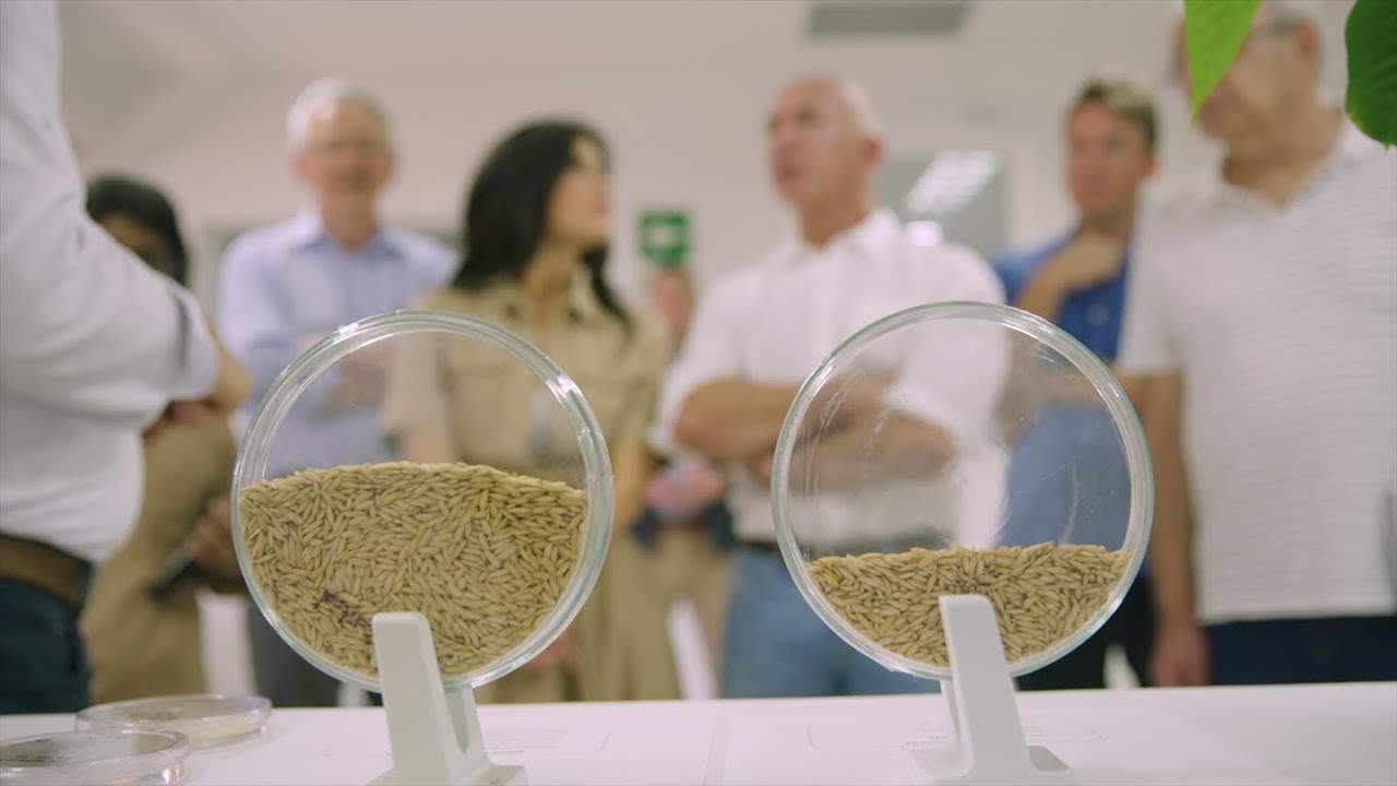 Bezos Earth Fund